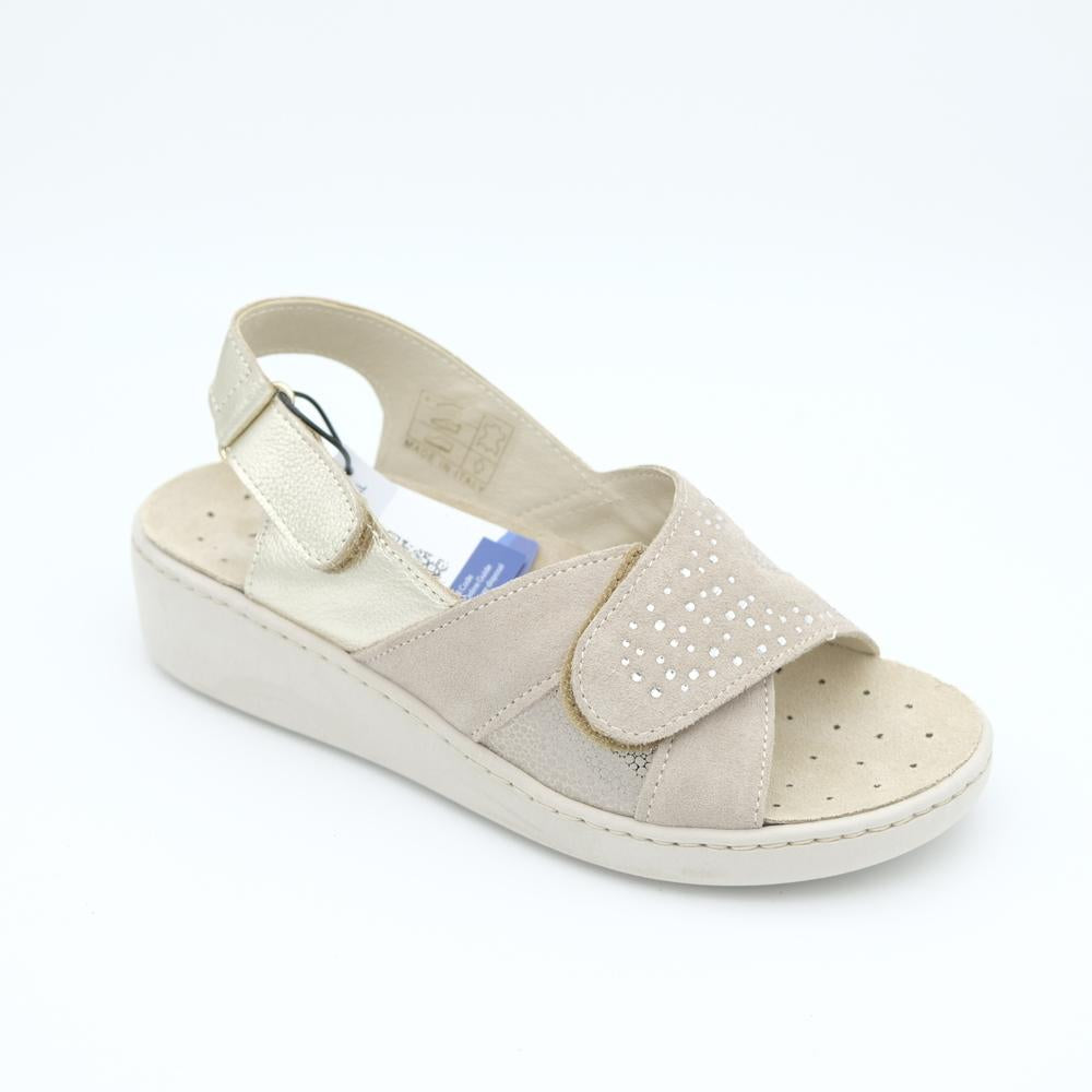 01950_10|ca2119cc69b6bc1cf7d46614e3af0001